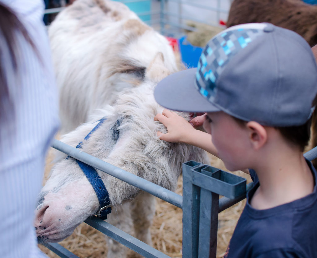 Steyning Country Fair half-term fun
